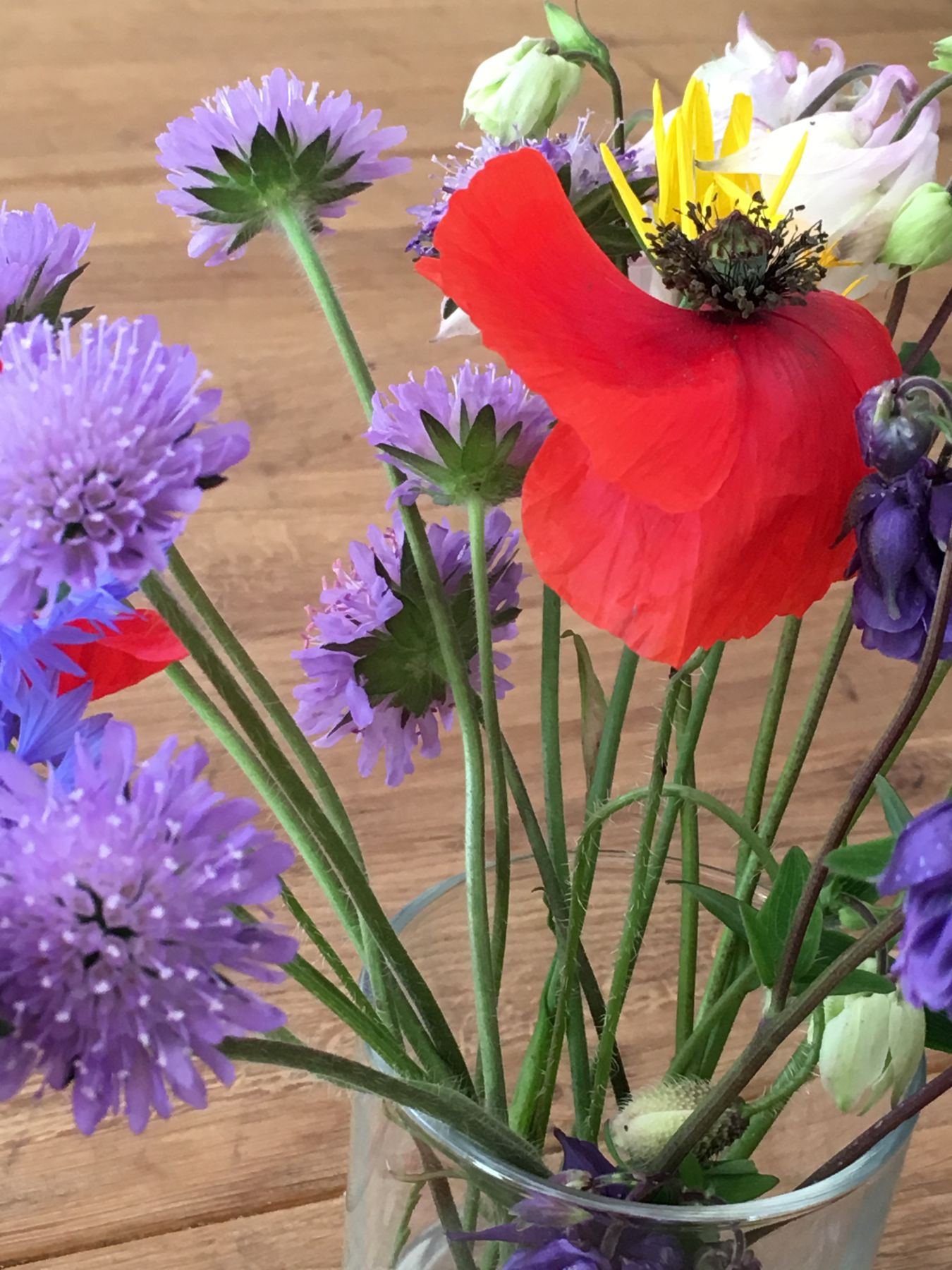 Bouquet champêtre aux fleurs rouges, violettes et blanches